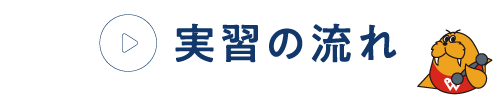 実習の流れ